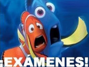 La UMA da permiso para estudiar