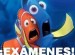 La UMA da permiso para estudiar